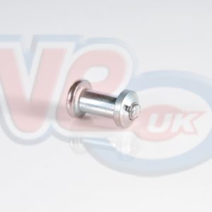 LEVER PIVOT SCREW WITH NUT