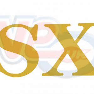STICKER – GOLD SX FOR MOD FLYSCREEN