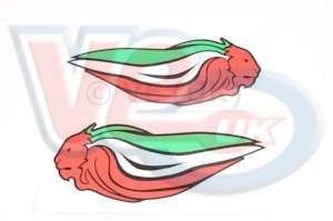 PAIR of LEFT AND RIGHT 175mm APRILIA LIONS HEADS in ITALIAN RED WHITE AND GREEN