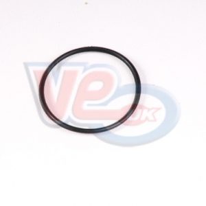 20MM FRONT HUB BACKPLATE O RING