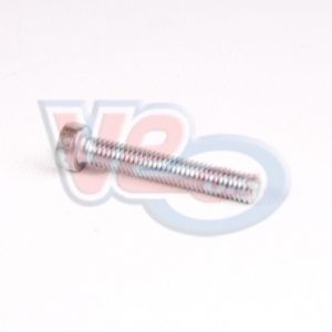 AIR FILTER SCREW – NOT SHANKED