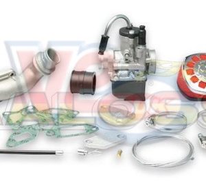 MALOSSI CYLINDER MOUNTED 25mm REED VALVE CARB KIT – FITS MARK 1 KITS MADE BEFORE 2014