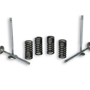 MALOSSI VALVE AND VALVE SPRING SET