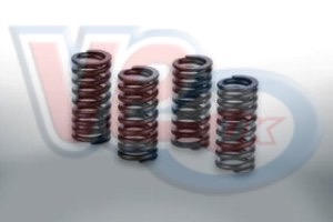 MALOSSI VALVE SPRINGS – SET OF 4