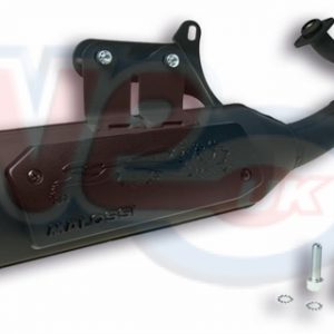 MALOSSI WILD LION EXHAUST – E-MARKED