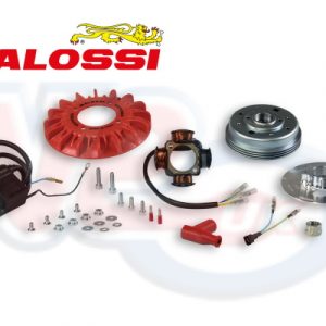 MALOSSI 0.9kg VESPOWER IGNITION KIT