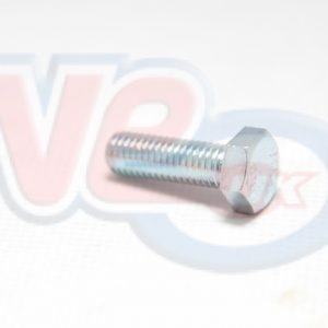 BOLT 8mm x 25mm LONG – PACK OF 100