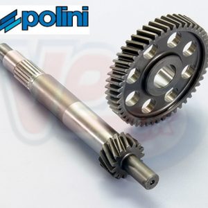 POLINI PRIMARY GEAR KIT 15-49 – PIAGGIO 125-250-300 MOTORS