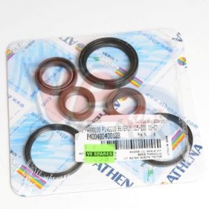 OIL SEAL KIT