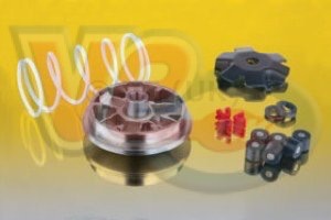 MALOSSI VARIATOR KIT