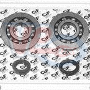 CRANK BEARING & SEAL KIT