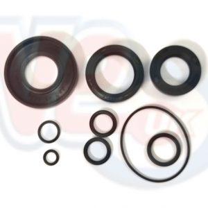 OIL SEAL KIT WITH O RINGS