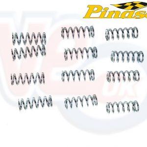 PINASCO SILVER SPRING SET – FOR PINASCO BULL CLUTCH