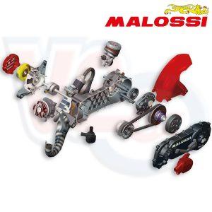 MALOSSI PIAGGIO 70cc MOTOR KIT FOR 12 or 13 WHEELS”