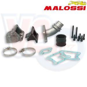 REED VALVE KIT 2 HOLE – USES PHBL CARB