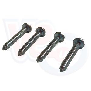 HORN SCREW WITH SLOTTED HEAD – PACK OF 4