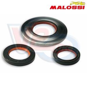 MALOSSI OIL SEAL SET with FKM plus PTFE WITH 30mm EXTERNAL HUB SEAL – VESPA PX