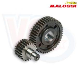 MALOSSI SECONDARY GEARS HTQ z 22-45