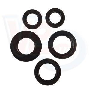 OIL SEAL KIT