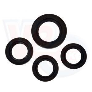 4 PIECE OIL SEAL SET